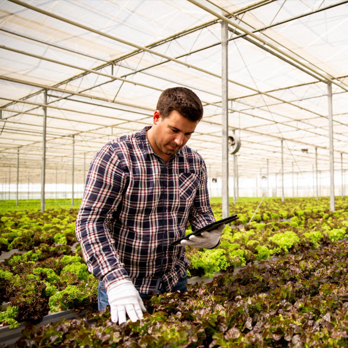Elaboración de fungicidas y micronutrientes